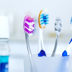 Toothbrushes in cup on counter