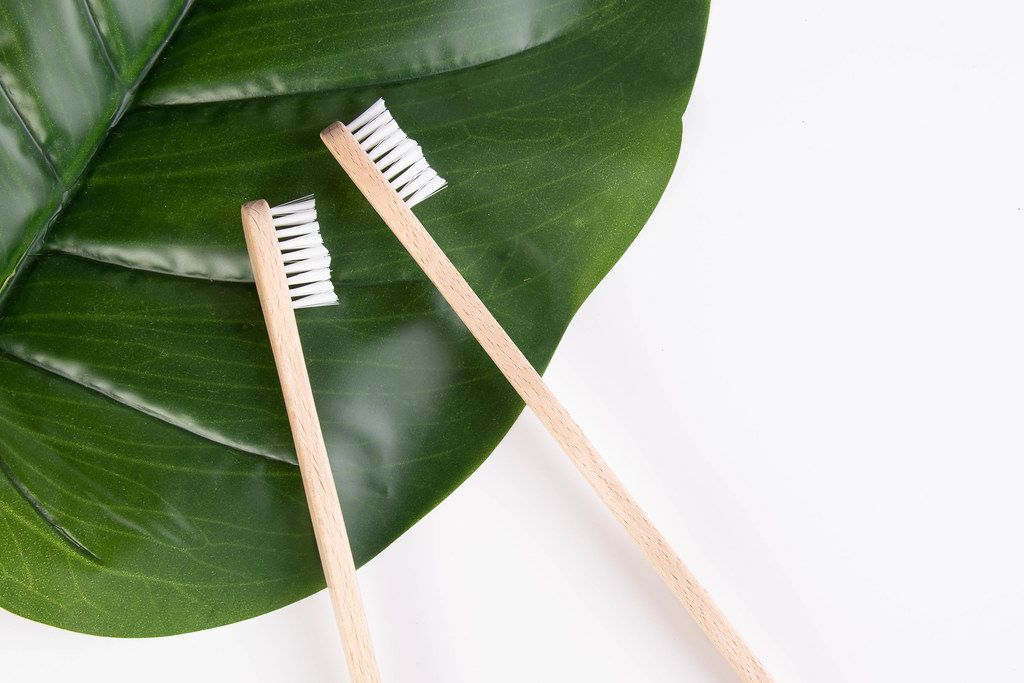 bamboo toothbrushes on a leaf